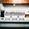 Chicago Stemless Wine Glasses set of 4